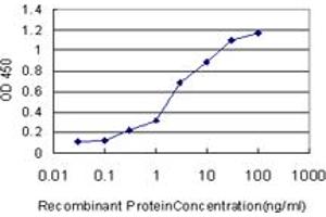 Detection limit for recombinant GST tagged SP1 is approximately 0.