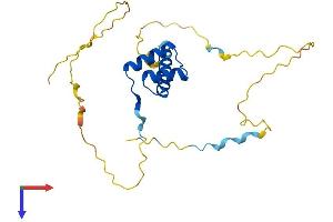 AlphaFold protein structure predicition of Human Recombinant PROP1 Protein, UniprotID O75360