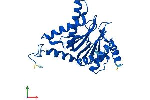 AlphaFold protein structure predicition of Mouse Recombinant Psma6 Protein, UniprotID Q9QUM9