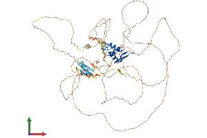 AlphaFold protein structure predicition of Mouse Recombinant Foxm1 Protein, UniprotID O08696