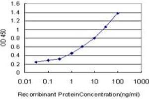 Detection limit for recombinant GST tagged SYT4 is approximately 0.