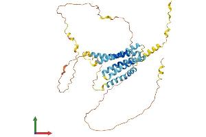 AlphaFold protein structure predicition of Human Recombinant TMEM79 Protein, UniprotID Q9BSE2