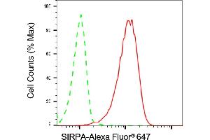Flow cytometric analysis of SIRPA expression in HT- cells using SIRPA antibody (ABIN7800350), 1:2,000).
