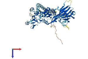 AlphaFold protein structure predicition of Human Recombinant DGKE Protein, UniprotID P52429