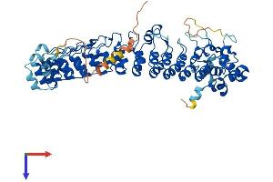 AlphaFold protein structure predicition of Mouse Recombinant Asb14 Protein, UniprotID Q8C6Y6