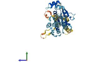 AlphaFold protein structure predicition of Mouse Recombinant Pstk Protein, UniprotID Q8BP74