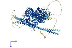 AlphaFold protein structure predicition of Human Recombinant PLCB2 Protein, UniprotID Q00722