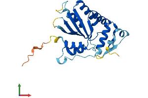 AlphaFold protein structure predicition of Mouse Recombinant Apobec1 Protein, UniprotID P51908