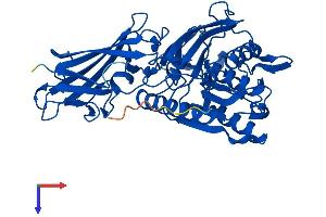 AlphaFold protein structure predicition of Human Recombinant ACOT4 Protein, UniprotID Q8N9L9