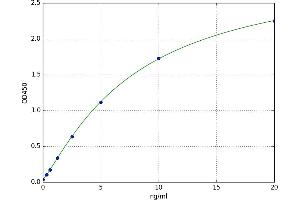 Heat Shock Protein, alpha-Crystallin-Related, B6 (HSPB6) ELISA Kit