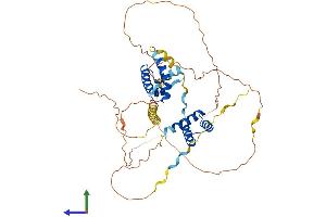 AlphaFold protein structure predicition of Mouse Recombinant Pou3f1 Protein, UniprotID P21952