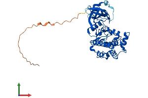 AlphaFold protein structure predicition of Mouse Recombinant Prkx Protein, UniprotID Q922R0
