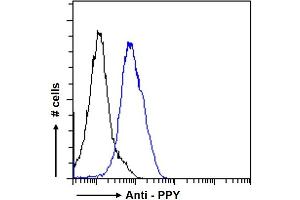 ABIN185420 Flow cytometric analysis of paraformaldehyde fixed U2OS cells (blue line), permeabilized with 0.