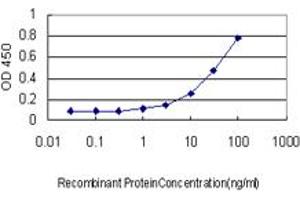 Detection limit for recombinant GST tagged IQGAP1 is approximately 3ng/ml as a capture antibody. (IQGAP1 anticorps  (AA 611-710))