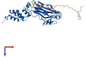 AlphaFold protein structure predicition of Mouse Recombinant Fbxo6 Protein, UniprotID Q9QZN4