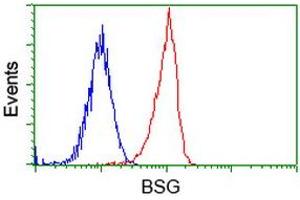 Image no. 3 for anti-Basigin (Ok Blood Group) (BSG) antibody (ABIN1498013)