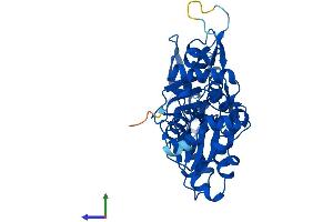AlphaFold protein structure predicition of Human Recombinant ACTBL2 Protein, UniprotID Q562R1