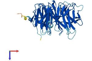 AlphaFold protein structure predicition of Mouse Recombinant Gnb1l Protein, UniprotID Q9EQ15