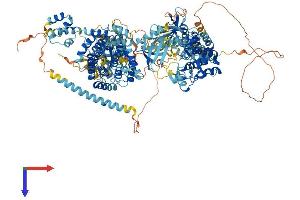 AlphaFold protein structure predicition of Mouse Recombinant Map3k6 Protein, UniprotID Q9WTR2