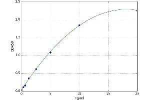 3-hydroxyanthranilate 3,4-Dioxygenase (HAAO) ELISA Kit