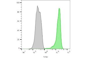 Flow cytometry analysis of lymphocyte-gated PBMCs unstained (gray) or stained with CF488A-labeled CD45 monoclonal antibody (2B11+PD7/26) (green). (CD45 anticorps)