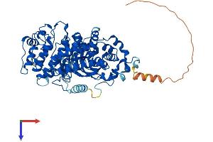 AlphaFold protein structure predicition of Mouse Recombinant Grk5 Protein, UniprotID Q8VEB1