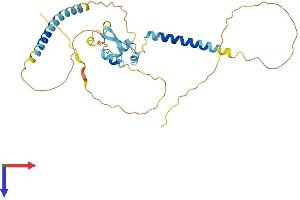 AlphaFold protein structure predicition of Human Recombinant LYSMD3 Protein, UniprotID Q7Z3D4