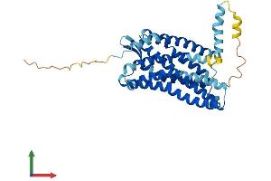 AlphaFold protein structure predicition of Mouse Recombinant Ccr1 Protein, UniprotID P51675