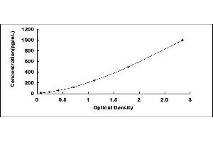Typical standard curve (CCL15 Kit ELISA)