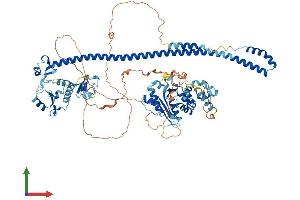 AlphaFold protein structure predicition of Human Recombinant PML Protein, UniprotID P29590
