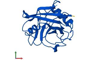 AlphaFold protein structure predicition of Human Recombinant PPIA Protein, UniprotID P62937