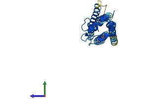 AlphaFold protein structure predicition of Human Recombinant CD151 Protein, UniprotID P48509