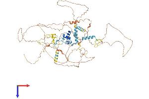 AlphaFold protein structure predicition of Mouse Recombinant Fbxo34 Protein, UniprotID Q80XI1