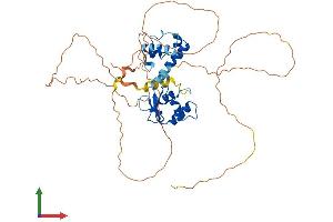 AlphaFold protein structure predicition of Mouse Recombinant Fli1 Protein, UniprotID P26323