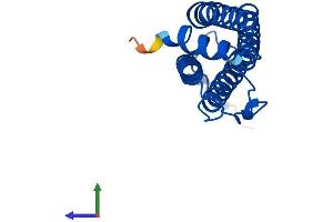 AlphaFold protein structure predicition of Mouse Recombinant Fth1 Protein, UniprotID P09528