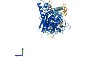 AlphaFold protein structure predicition of Human Recombinant C9orf72 Protein, UniprotID Q96LT7