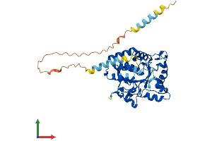 AlphaFold protein structure predicition of Mouse Recombinant St8sia6 Protein, UniprotID Q8K4T1