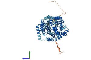 AlphaFold protein structure predicition of Mouse Recombinant Slc7a8 Protein, UniprotID Q9QXW9