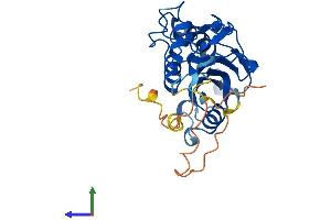 AlphaFold protein structure predicition of Mouse Recombinant Slx1b Protein, UniprotID Q8BX32
