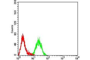 Flow cytometric analysis of Raji cells using CD1B mouse mAb (green) and negative control (red).