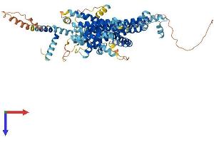 AlphaFold protein structure predicition of Mouse Recombinant Stra6 Protein, UniprotID O70491