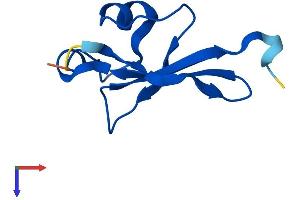 AlphaFold protein structure predicition of Human Recombinant CKS2 Protein, UniprotID P33552