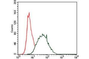 Flow cytometric analysis of HeLa cells using CK5 mouse mAb (green) and negative control (red).