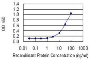 anti-Melanoma Inhibitory Activity Protein 2 (MIA2) (AA 448-553) antibody