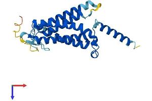AlphaFold protein structure predicition of Mouse Recombinant Dolpp1 Protein, UniprotID Q9JMF7