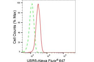 anti-Ubiquitin Protein Ligase E3 Component N-Recognin 5 (UBR5) antibody