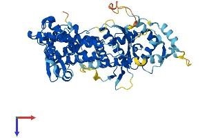 AlphaFold protein structure predicition of Human Recombinant DALRD3 Protein, UniprotID Q5D0E6