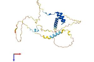 AlphaFold protein structure predicition of Human Recombinant NKX6-3 Protein, UniprotID A6NJ46