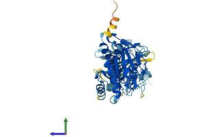 AlphaFold protein structure predicition of Human Recombinant IFI44L Protein, UniprotID Q53G44