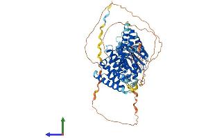 AlphaFold protein structure predicition of Mouse Recombinant Ranbp9 Protein, UniprotID P69566